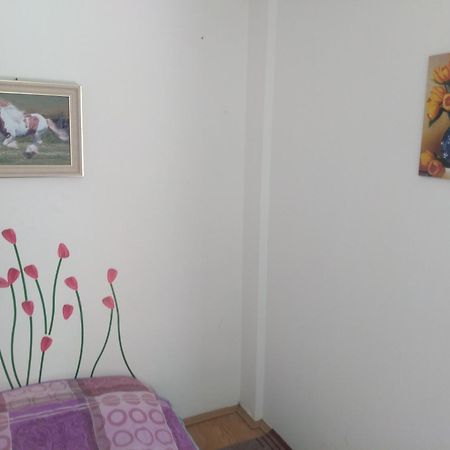 Hostel Trajan Donji Milanovac Exterior foto