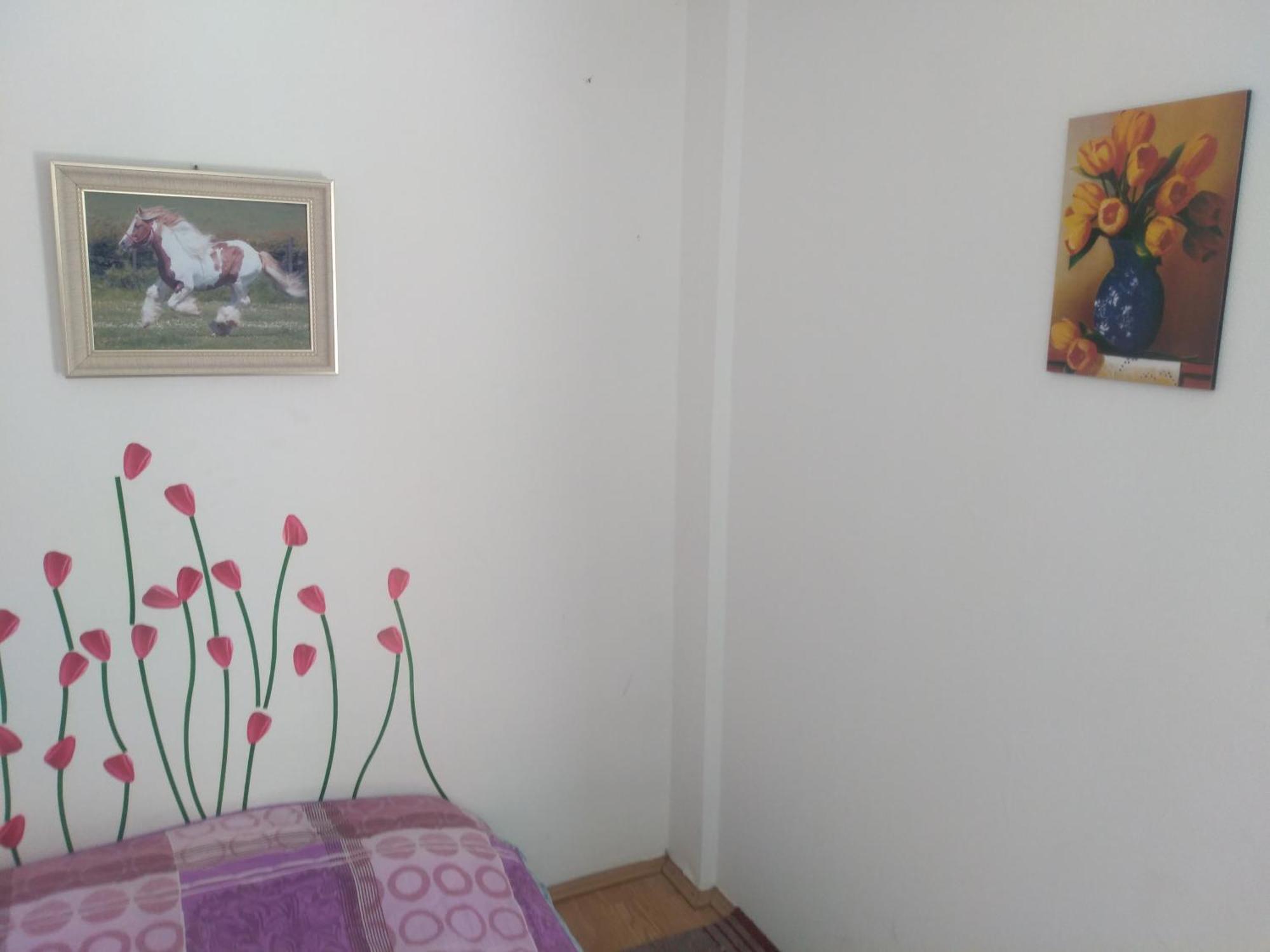 Hostel Trajan Donji Milanovac Exterior foto